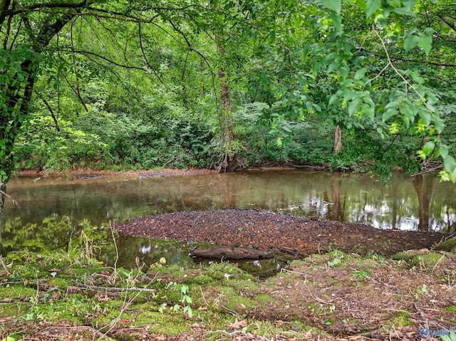 2605 Ready Section Rd, Toney, AL 35773 - view of yard with a water view
