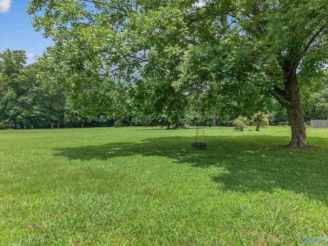 2605 Ready Section Rd, Toney, AL 35773 - view of green lawn
