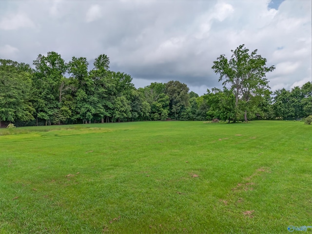 2605 Ready Section Rd, Toney, AL 35773 - view of green lawn