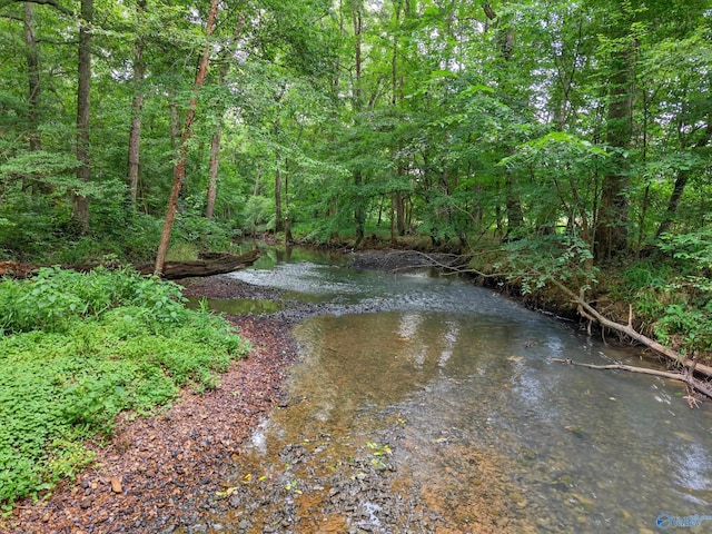 2605 Ready Section Rd, Toney, AL 35773 - water view