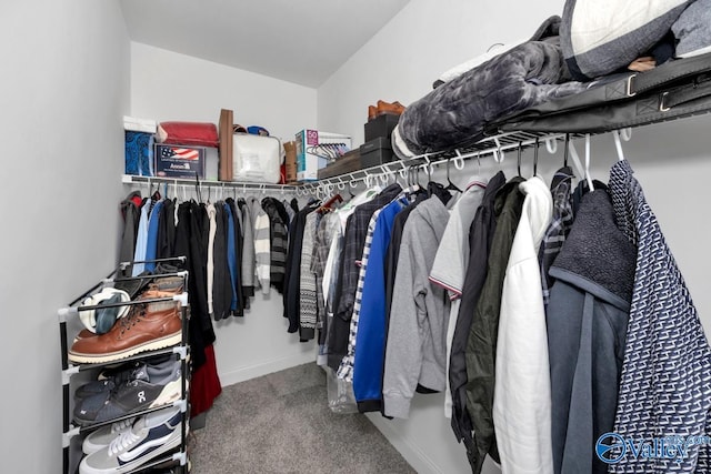 walk in closet with carpet flooring