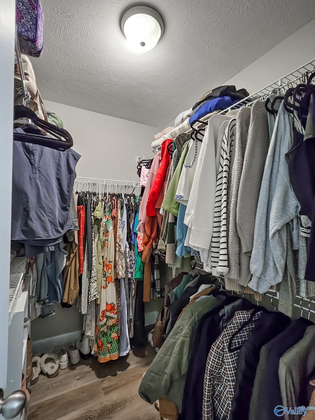 spacious closet with wood-type flooring