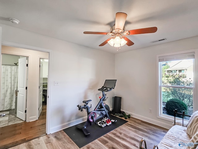 workout room with wood-type flooring and ceiling fan