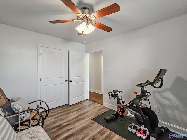 workout room with ceiling fan and hardwood / wood-style flooring