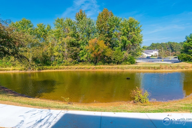 property view of water