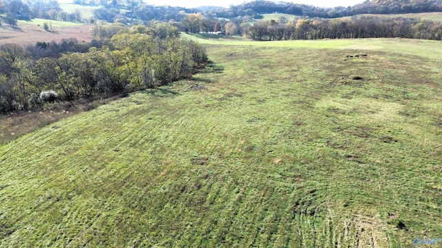 Listing photo 2 for 47.69AC Mooresville Pike, Culleoka TN 38451