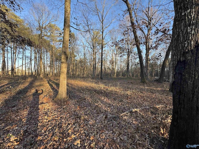 view of local wilderness