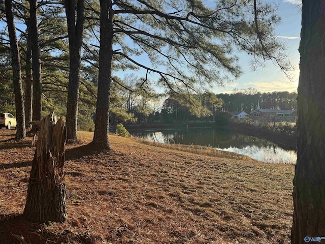 view of yard featuring a water view