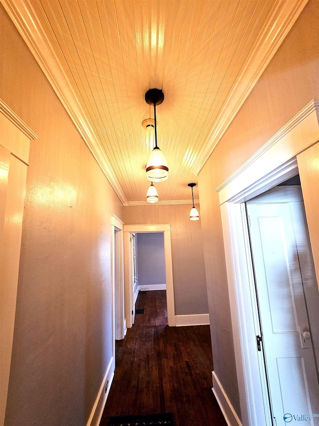 hall featuring dark hardwood / wood-style flooring and crown molding