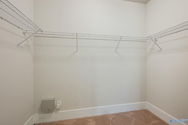 700 Magnolia Place Ln SW, Hartselle, AL 35640 - walk in closet with carpet floors