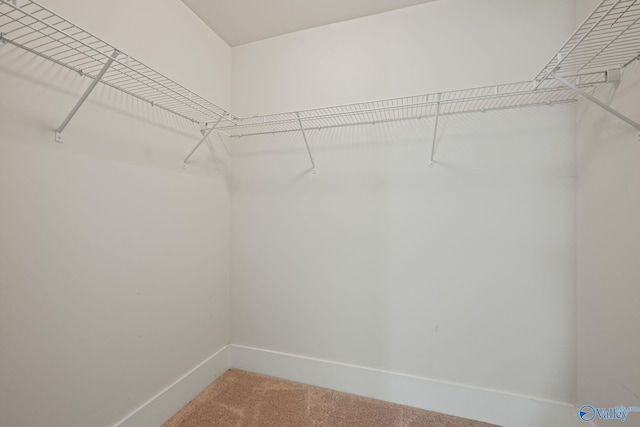 700 Magnolia Place Ln SW, Hartselle, AL 35640 - spacious closet with light carpet
