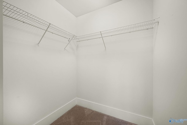 700 Magnolia Place Ln SW, Hartselle, AL 35640 - spacious closet with carpet floors