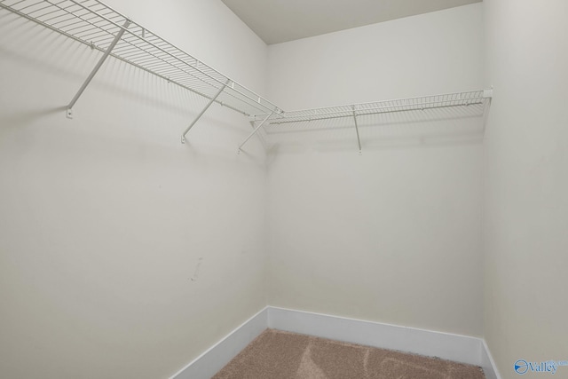700 Magnolia Place Ln SW, Hartselle, AL 35640 - spacious closet featuring carpet