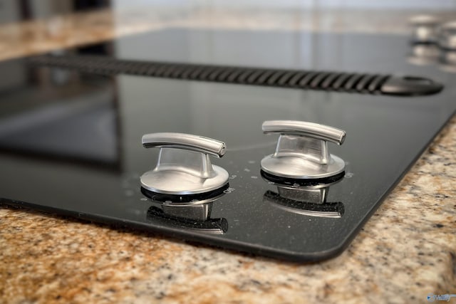 room details with black electric cooktop