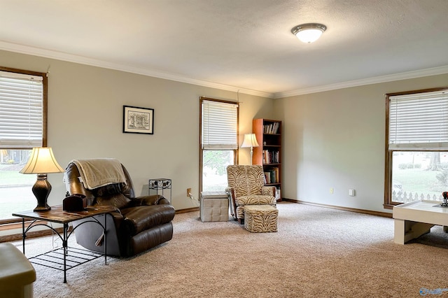 sitting room with baseboards, ornamental molding, and carpet floors