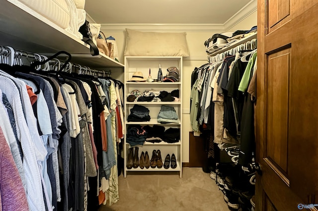 spacious closet with carpet flooring