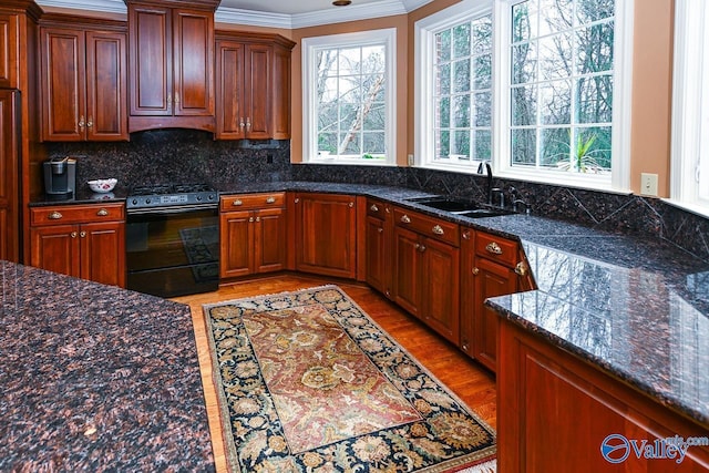 kitchen featuring a wealth of natural light, backsplash, electric range, and a sink