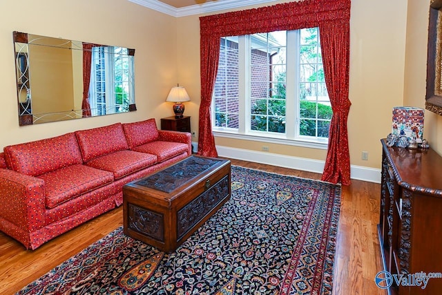 living room featuring baseboards, wood finished floors, and crown molding