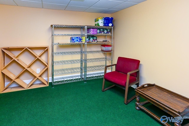 living area with a drop ceiling and carpet flooring