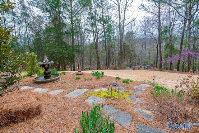 view of yard featuring a wooded view