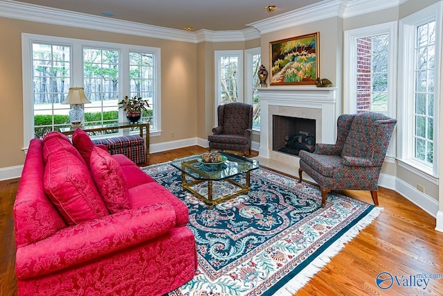 living room featuring baseboards, a fireplace, wood finished floors, and ornamental molding
