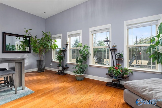 living area with wood-type flooring