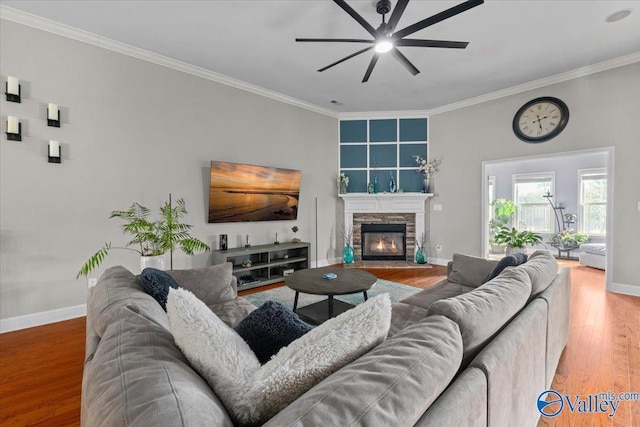 living room featuring hardwood / wood-style flooring, ornamental molding, ceiling fan, and a fireplace