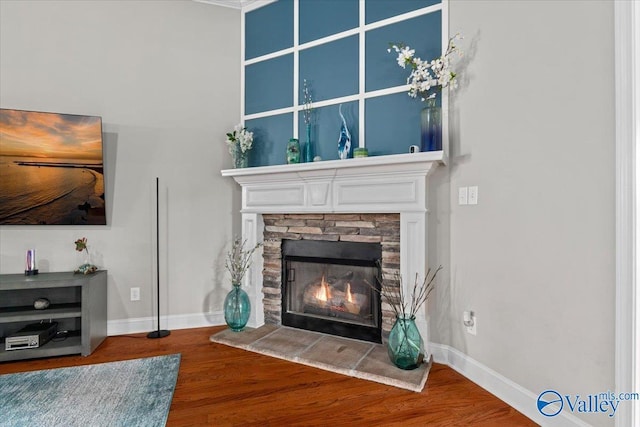 living room with hardwood / wood-style flooring and a stone fireplace