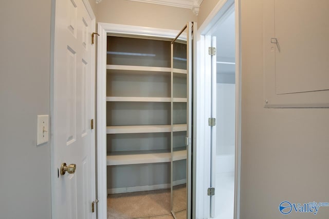 closet with electric panel