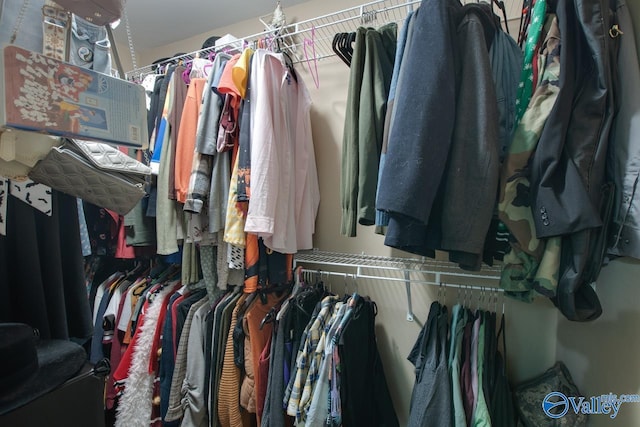 view of walk in closet