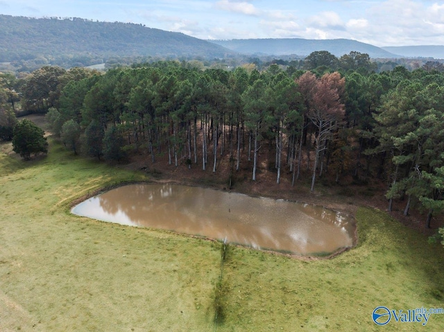 exterior space featuring a water and mountain view