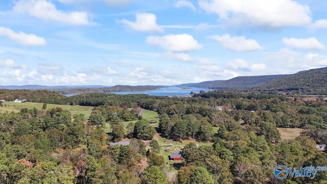 drone / aerial view with a water and mountain view and a wooded view