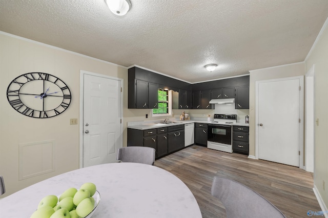 kitchen with white range with electric cooktop, a textured ceiling, dark hardwood / wood-style flooring, sink, and ornamental molding