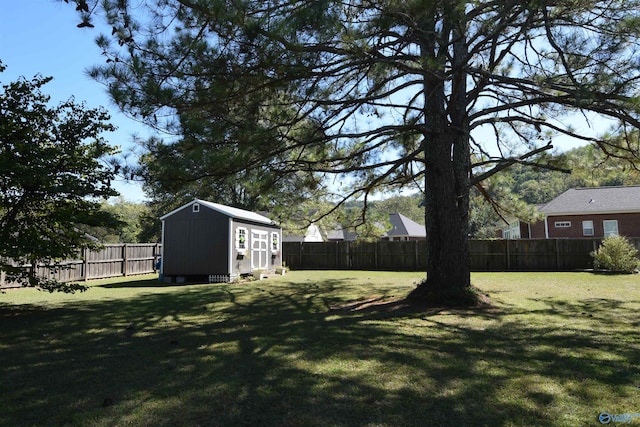 view of yard with a shed