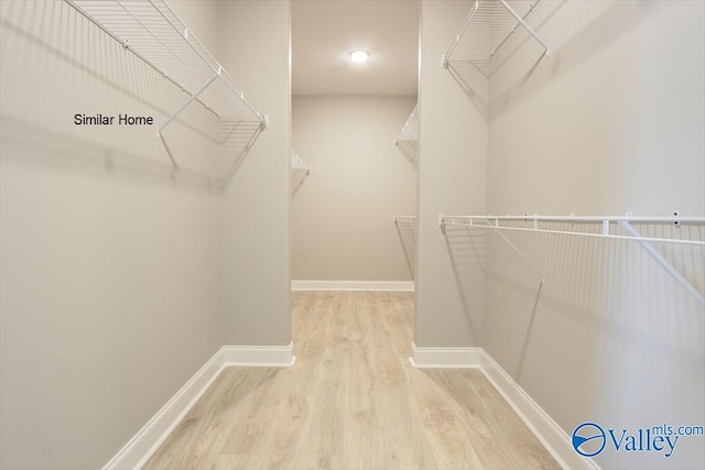 spacious closet featuring wood finished floors