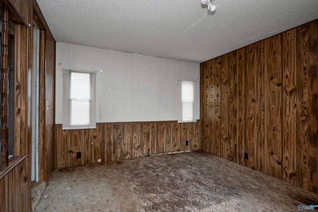 carpeted empty room featuring a wealth of natural light, wooden walls, and a textured ceiling