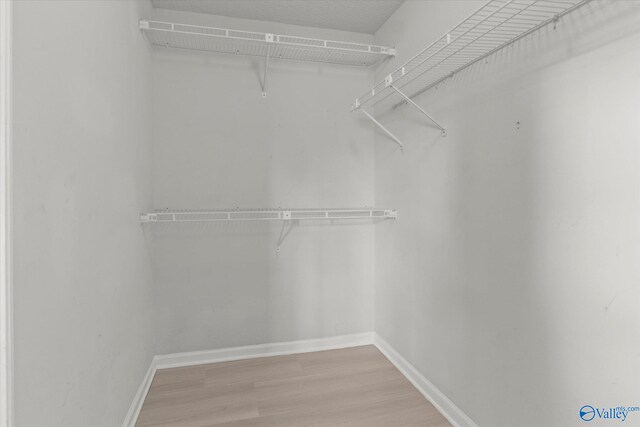 walk in closet featuring hardwood / wood-style floors