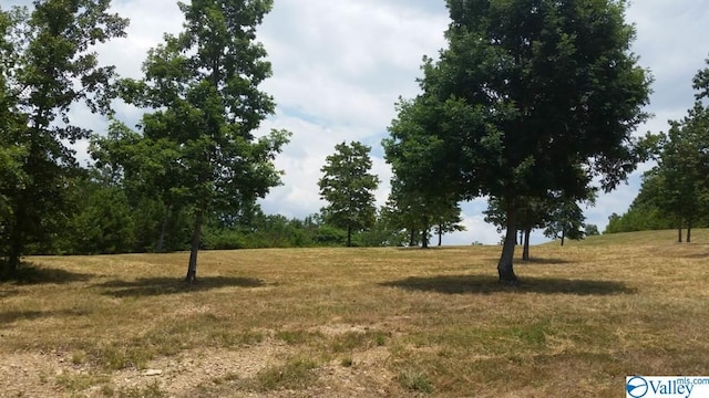 Listing photo 3 for LOT47 County Road 767, Cedar Bluff AL 35959