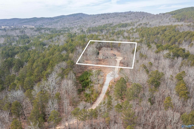 birds eye view of property with a mountain view