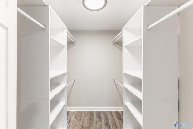 walk in closet featuring wood finished floors