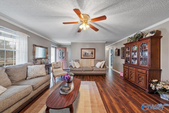 living room featuring dark hardwood / wood-style flooring, ceiling fan, ornamental molding, and a textured ceiling