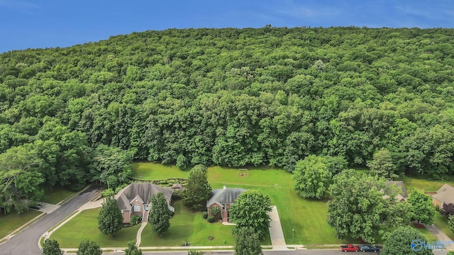 2317 Little Cove Rd, Owens Cross Roads, AL 35763 - aerial view of a forest