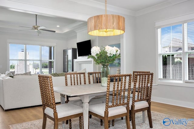 dining space with ceiling fan, light hardwood / wood-style flooring, a raised ceiling, and ornamental molding