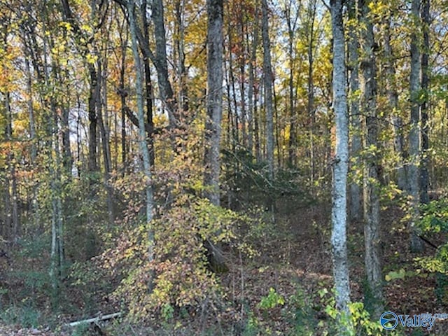 129 Price Mountain Dr S, Priceville, AL 35603