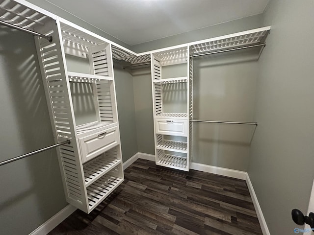 walk in closet with dark hardwood / wood-style flooring