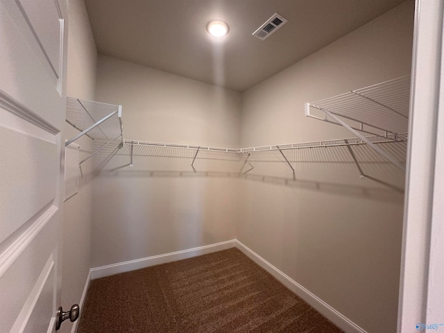 walk in closet with carpet flooring