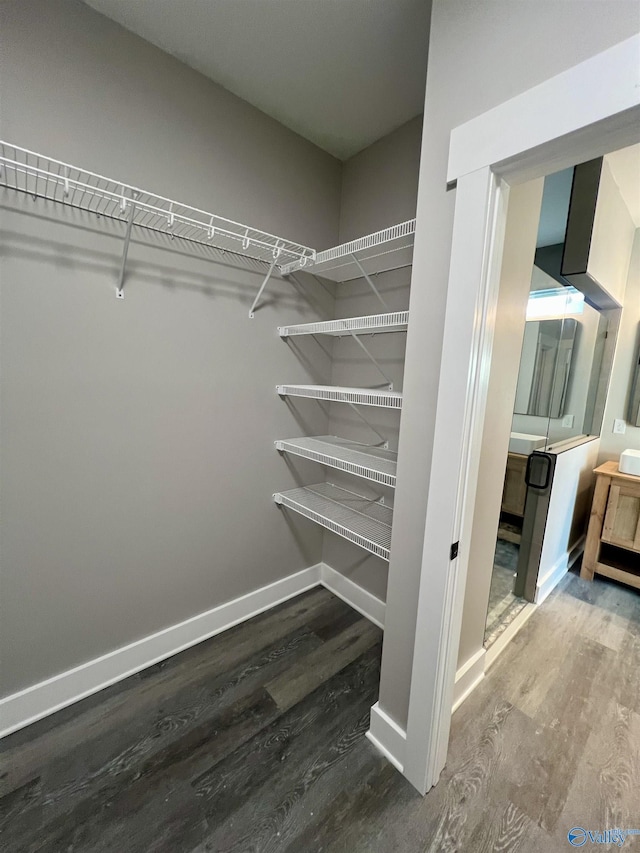 spacious closet with hardwood / wood-style floors