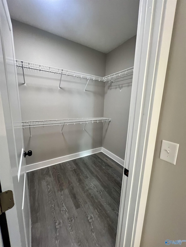 spacious closet featuring dark hardwood / wood-style floors