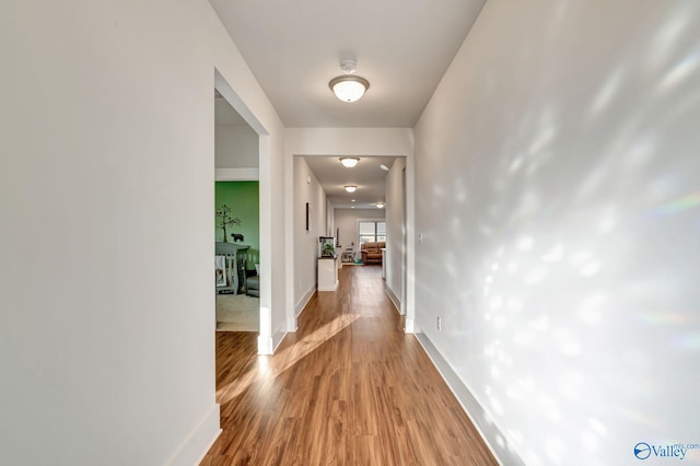 hall with baseboards and wood finished floors