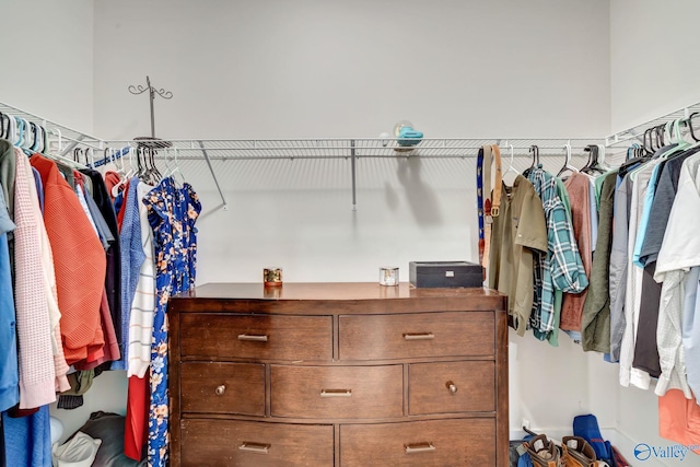 view of spacious closet